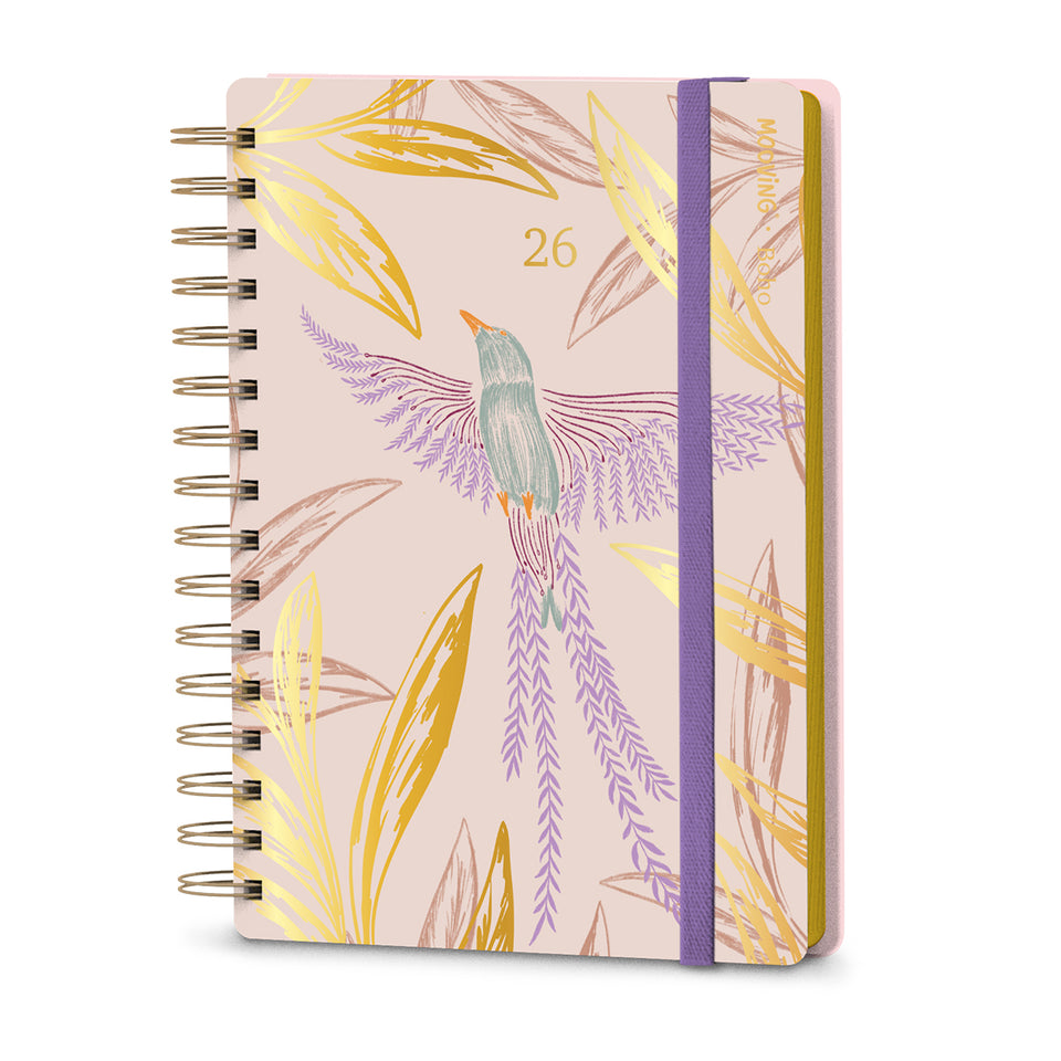 AGENDA 15X21 DXP BOHO 2026 MOOVING