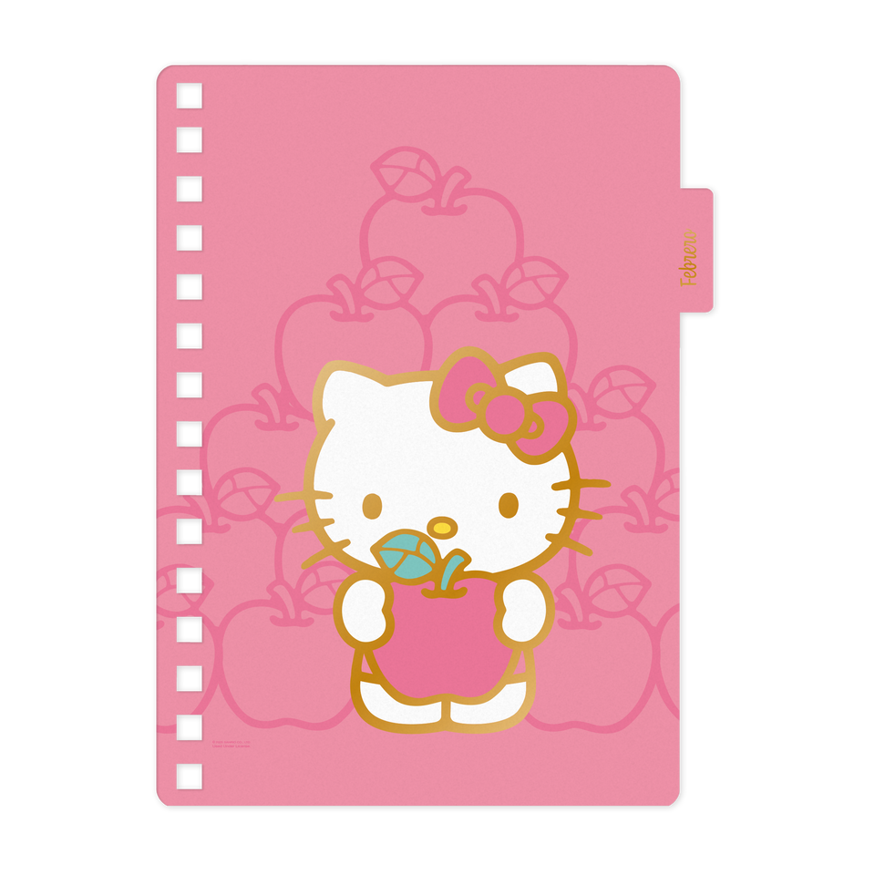 AGENDA 14X20 DXP HELLO KITTY 2026 MOOVING