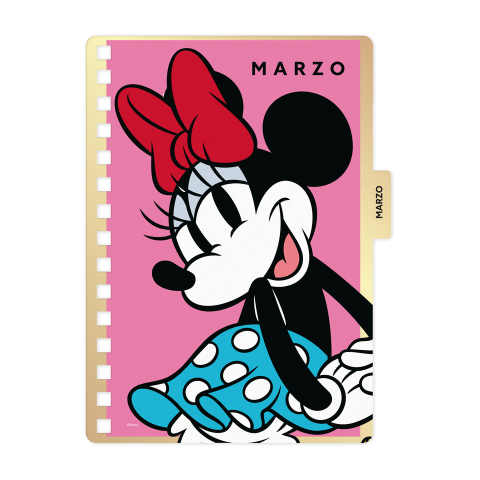AGENDA 14X20 DXP MICKEY & FRIENDS 2026 MOOVING