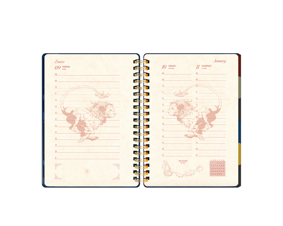 AGENDA 14X20 DXP HARRY POTTER 2026 MOOVING