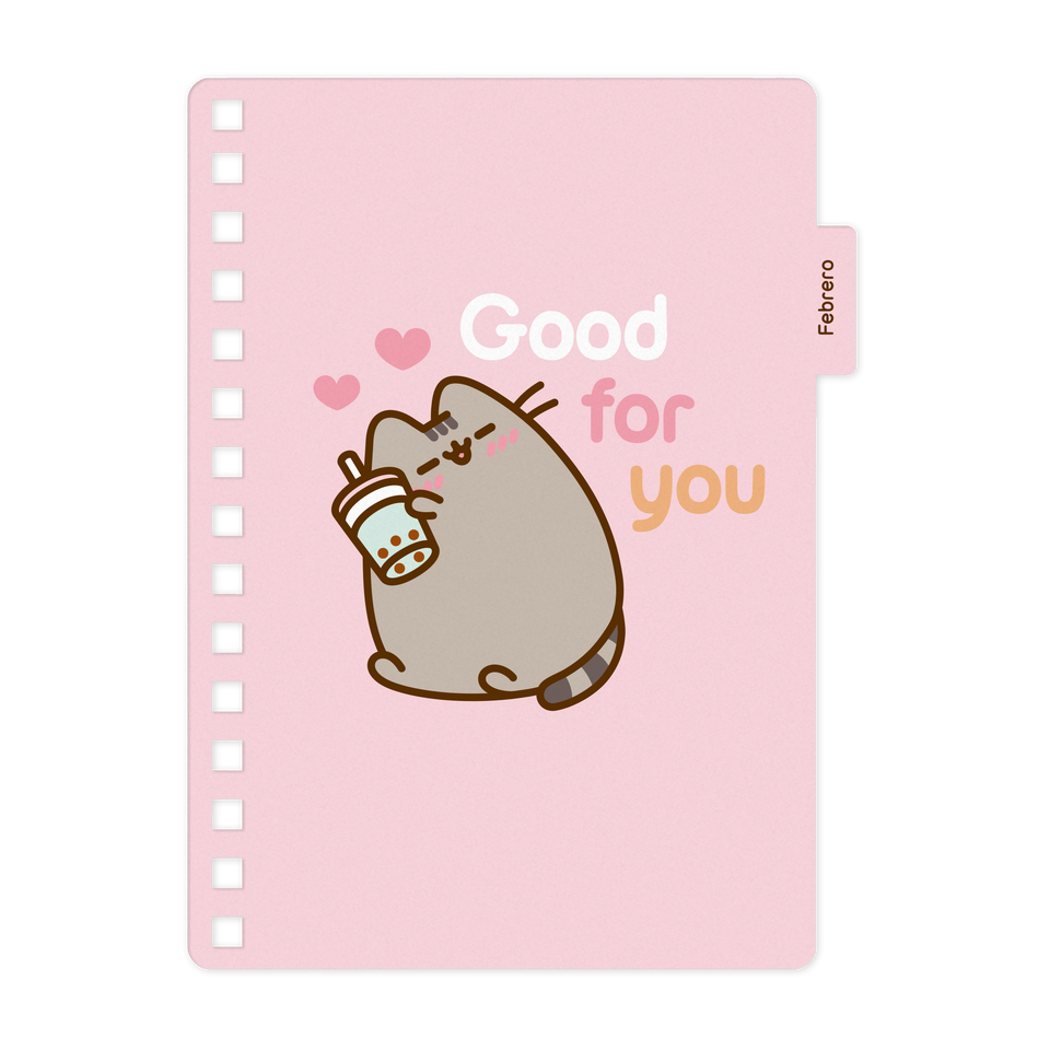 AGENDA 14X20 DXP PUSHEEN 2026 MOOVING