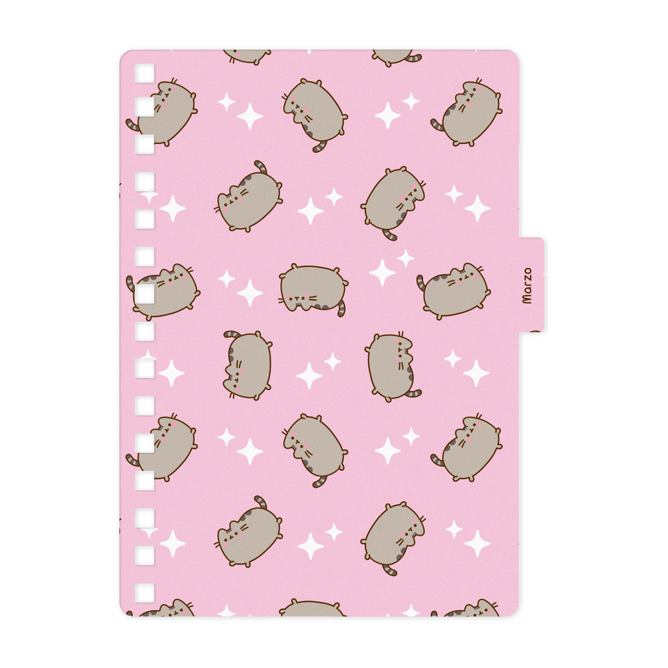 AGENDA 14X20 DXP PUSHEEN 2026 MOOVING