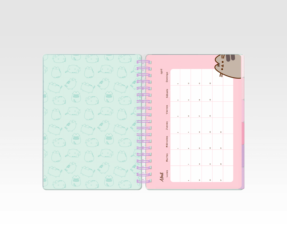 AGENDA 14X20 DXP PUSHEEN 2026 MOOVING